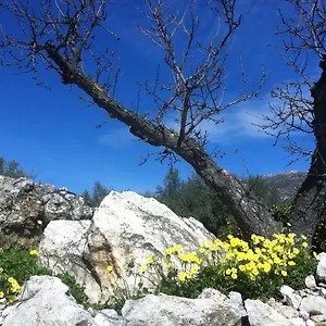 La Fuente Mondrón